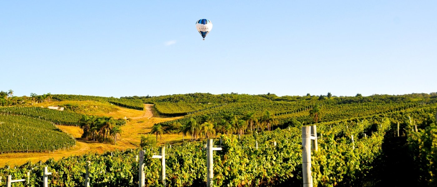 wine tours in uruguay